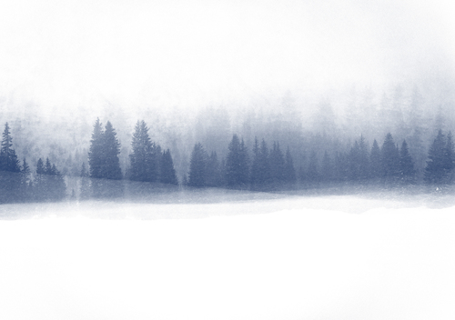 Cyanotype #1