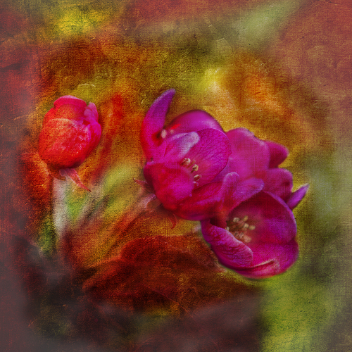 Purple Flower 2
