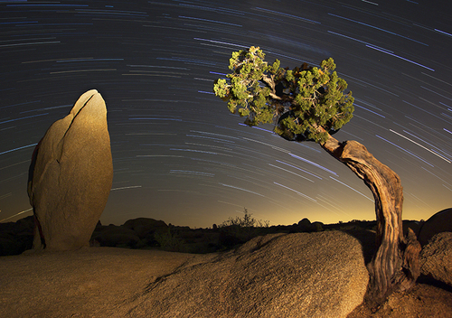 Balance Rock and Juniper
