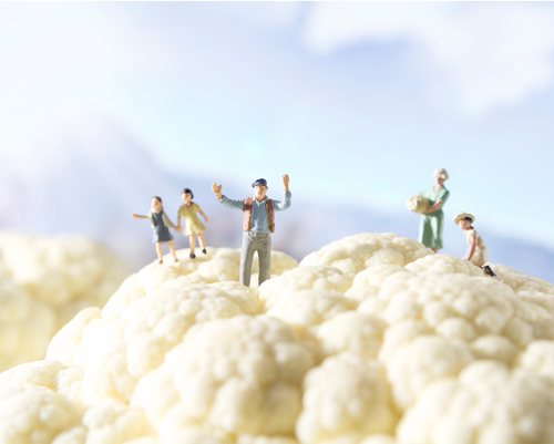 Super Farmers - Cauliflower Farmers