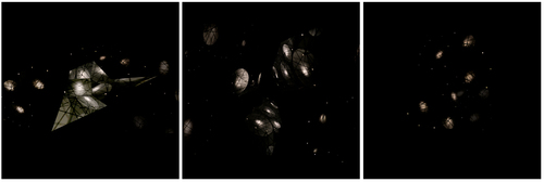 Untitled (5)