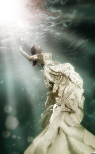 Emergence
