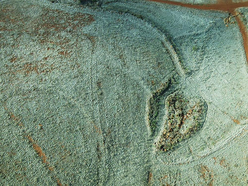 Textured Landscape
