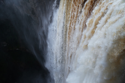 The Plunge