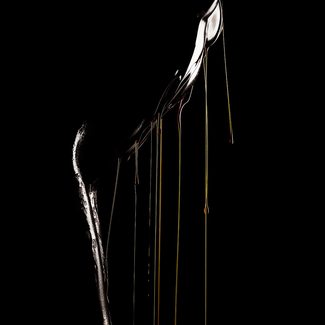 Color Awards Winners and Nominees