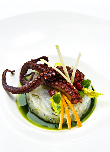 Octopus and Neonata