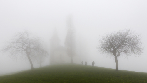 Into the mist