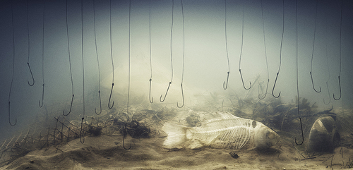 Nothing Left to Fish