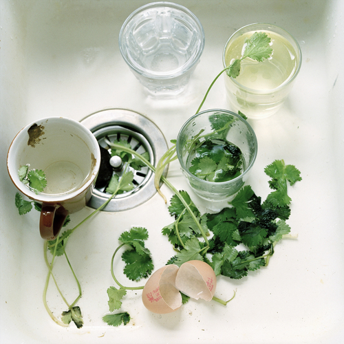 the Kitchen Sink