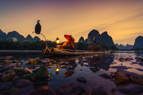 Cormorant Fisherman