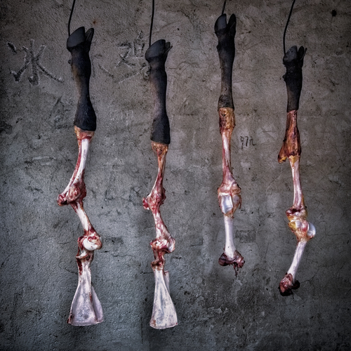 Artful Bones