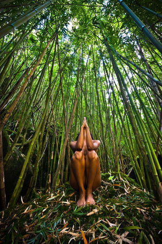 Bamboo Altar