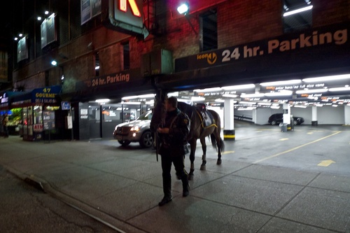 Horse PArking