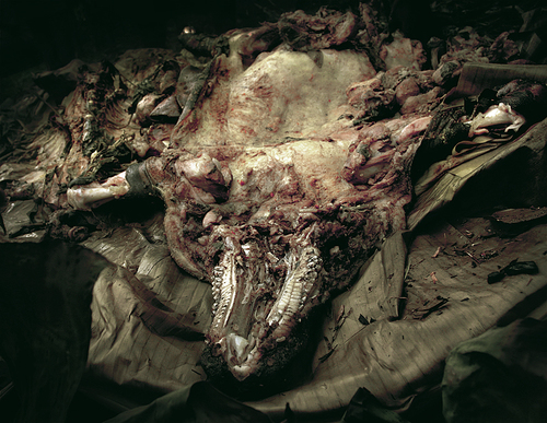 Stoned Barbequed Pig