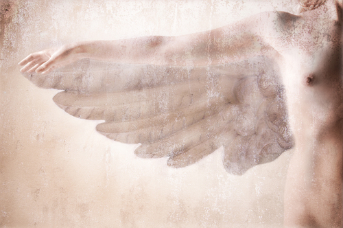 Angelic Fresco