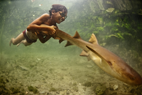Enal with pet shark
