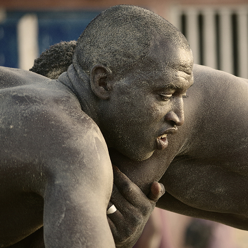 Wrestlers
