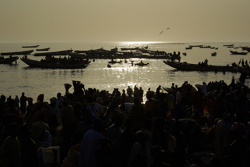 Fish Market