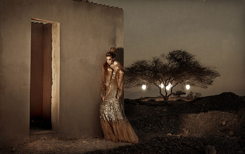 An Opulent Affair