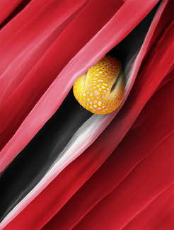 Color Awards Winners and Nominees