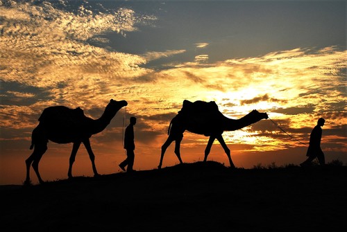 Sunset over the Thar Desert, Rajasthan, India