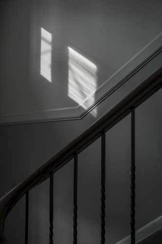 window 