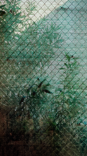Caged nature