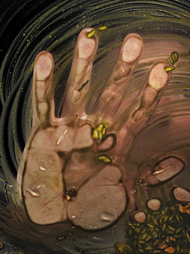 Fluidita Cover