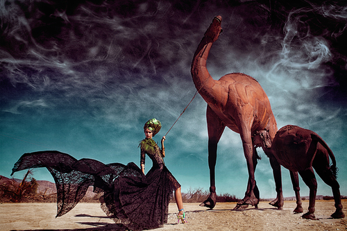 Taming The Beast (2)