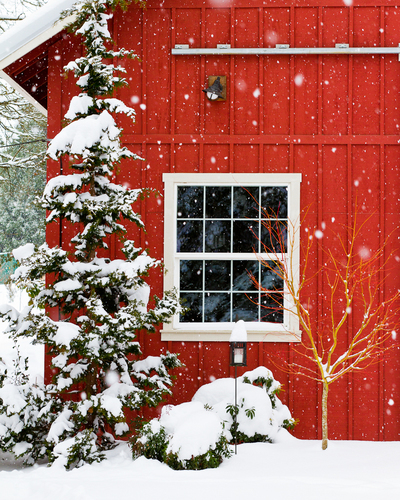Red Barn in Snow