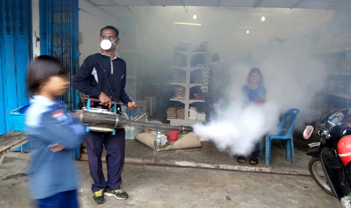 Municipal Task Mosquito Eradication