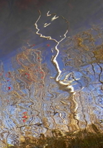 AuSable Impression VI