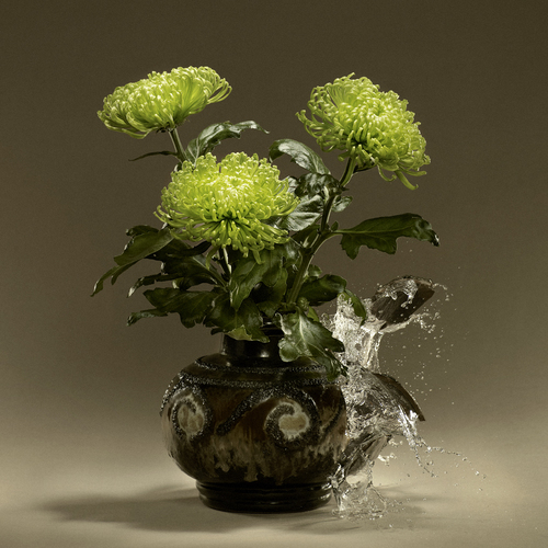 Flower (1)