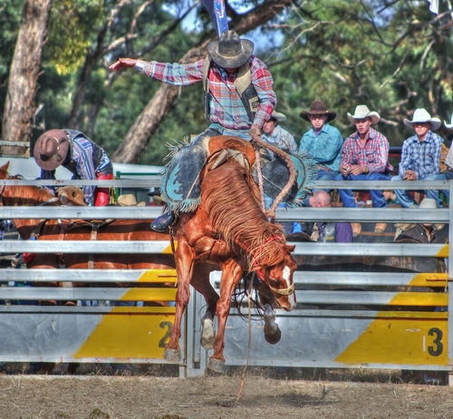 Rodeo