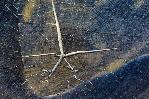 Woodbergs'12 Begining|As|End #Wood Series #1