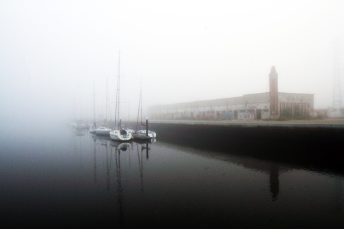 Safe Harbor