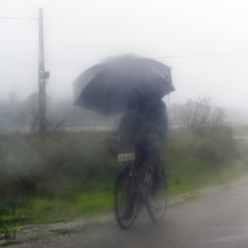 Rainy morning