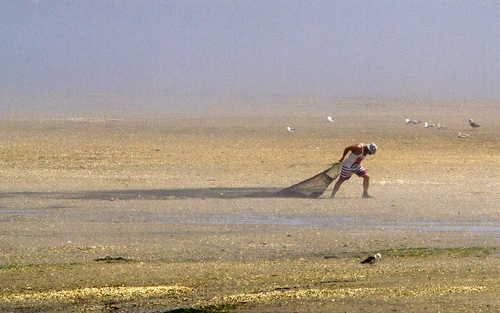 Pulling the nets