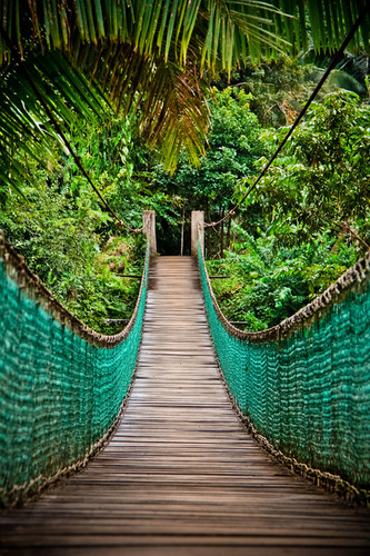 Suspended in Belize
