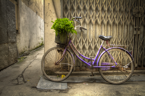 Purple in the Alley