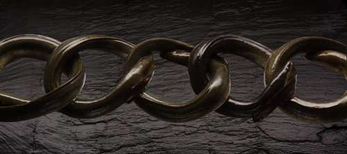 Eel Chain