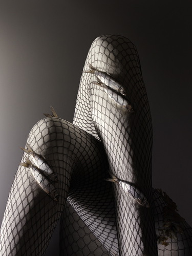 Fishnets