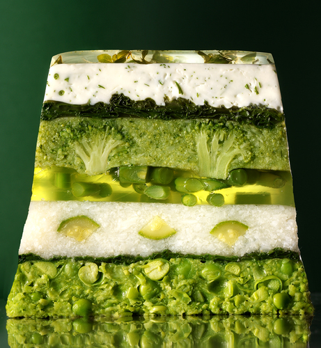 Terrine