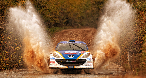 Rallywaterwings