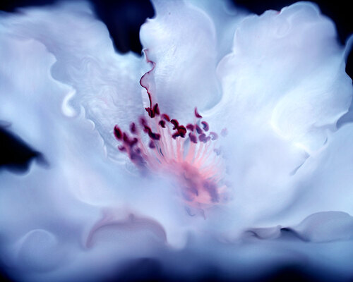 Silk
