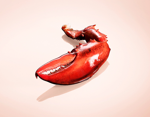 Lobster Claw