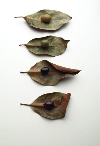 Olives on White
