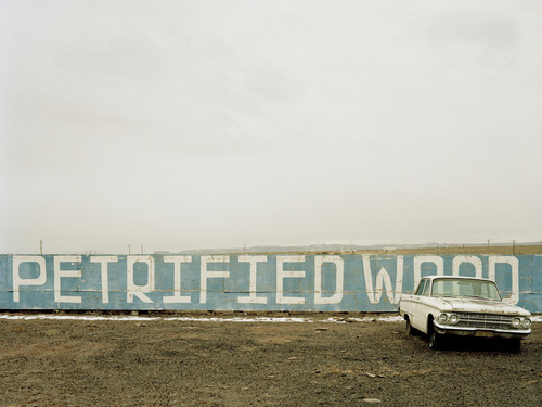 Petrified Forest