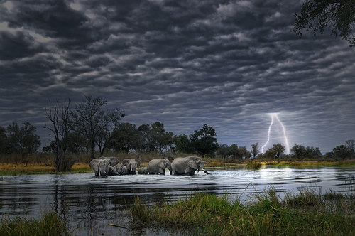Thunder