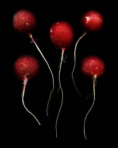 Red Heads